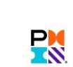 Project Management Institute logo